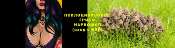 эйфоретик Верхний Тагил