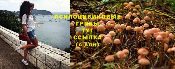 эйфоретик Верхний Тагил