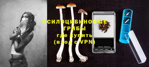 гашик Верхнеуральск